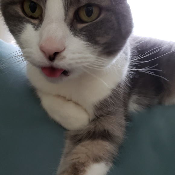 Meet your Posher, Rosann - Picture 5 of 5